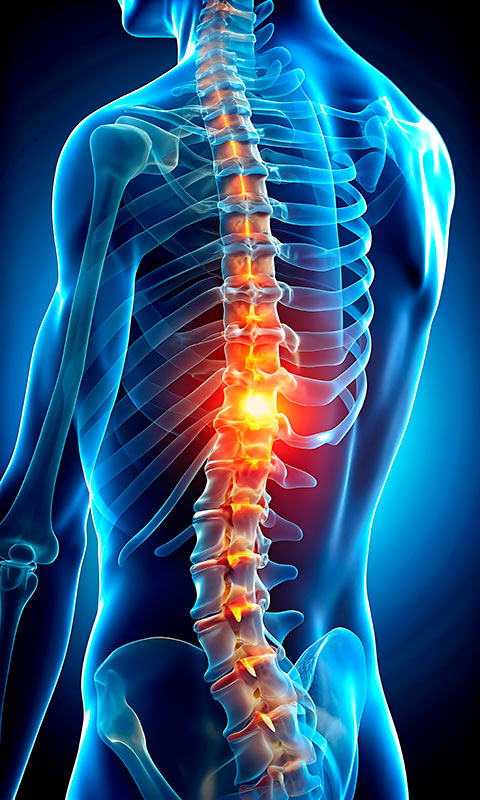 dolores espalda fisioterapia talavera